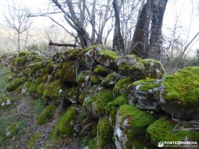 Ruta de los Castaños, Rozas de Puerto Real;excursiones alrededores madrid grupos para salir por mad